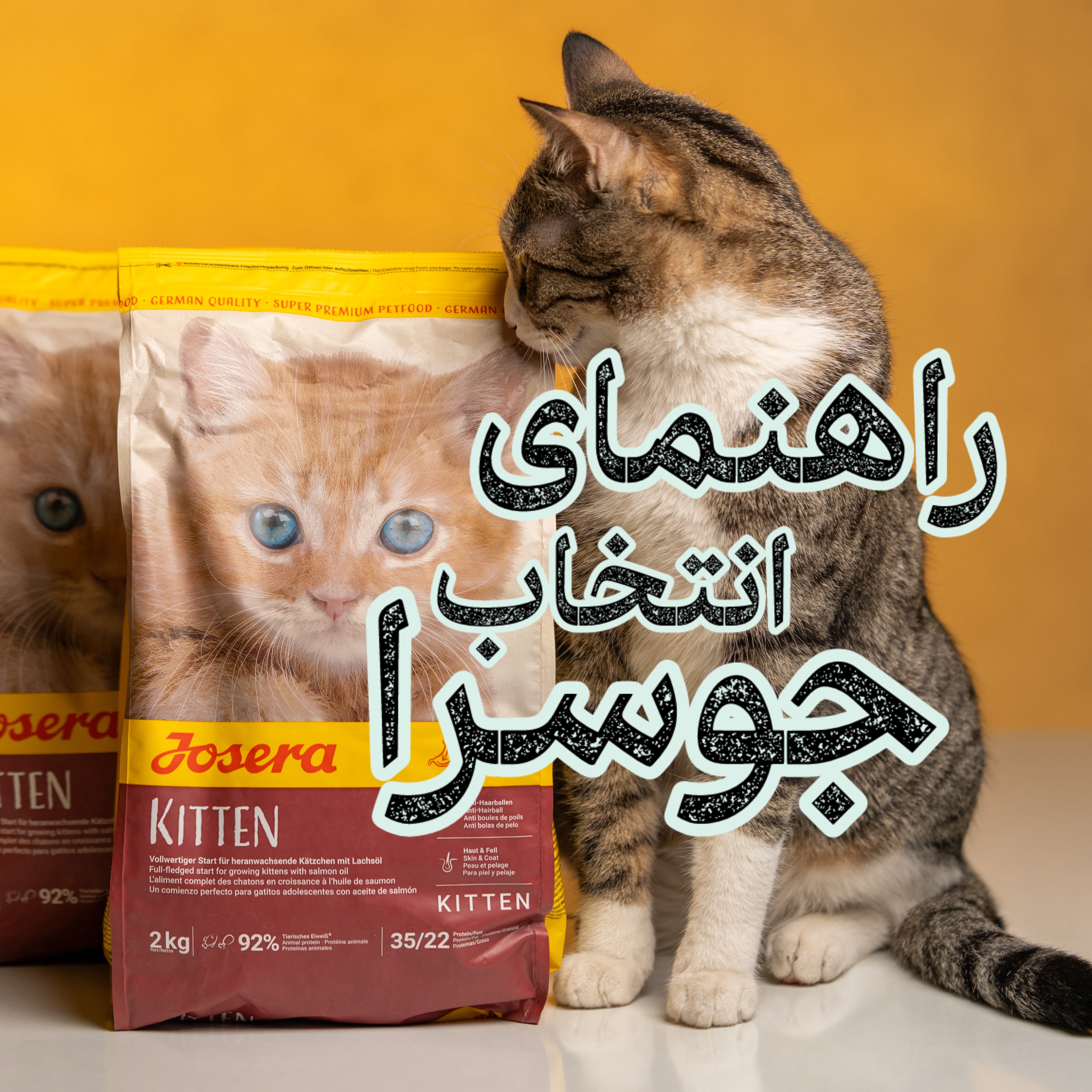 بهترین غذای جوسرا برای گربه ی عقیم شده